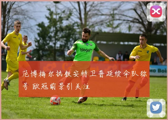 范博梅尔执教安特卫普延续伞队称号 欧冠前景引关注