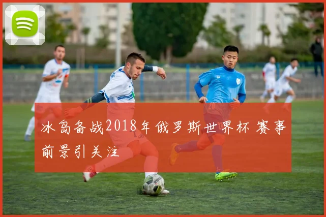 冰岛备战2018年俄罗斯世界杯 赛事前景引关注
